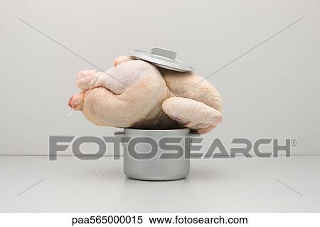 Stock Photography - Food concept, raw whole chicken atop too small pot. Fotosearch