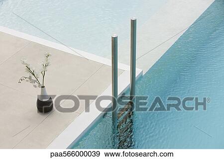 Flowers in vase at edge of pool near ladder View Large Photo Image Stock Photo - Flowers in vase at edge of pool near ladder. Fotosearch