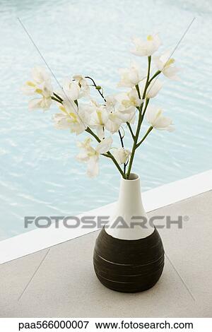 Stock Photo - Flowers in vase at edge of pool. Fotosearch