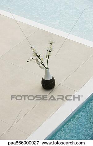 Flowers in vase at edge of pool View Large Photo Image Stock Photo - Flowers in vase at edge of pool. Fotosearch