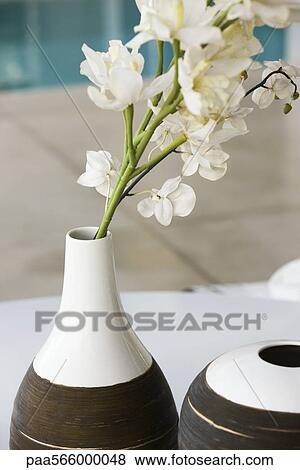 White flowers in ceramic vase View Large Photo Image Stock Photo - White flowers in ceramic vase. Fotosearch