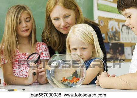 Elementary teacher and students gathered around goldfish bowl View Large Photo Image Stock Photo - Elementary teacher and students gathered around goldfish bowl. Fotosearch