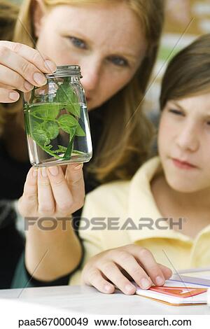 Stock Photo - Teacher and elementary student looking at plant in jar. Fotosearch