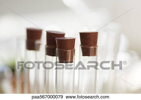 Test tubes, close-up View Large Photo Image Stock Photo - Test tubes, close-up. Fotosearch