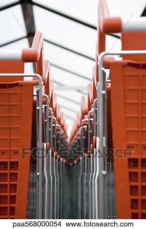 Picture - Shopping carts in rows, close-up. Fotosearch