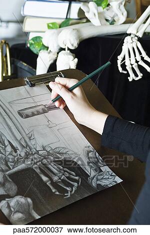 Artist sketching still life drawing View Large Photo Image Stock Photo - Artist sketching still life drawing. Fotosearch