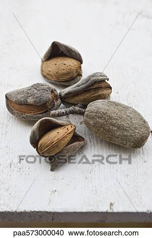 Almonds View Large Photo Image Stock Image - Almonds. Fotosearch