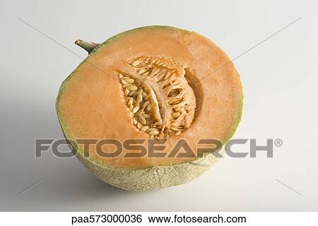 Cantaloupe View Large Photo Image Stock Photograph - Cantaloupe. Fotosearch