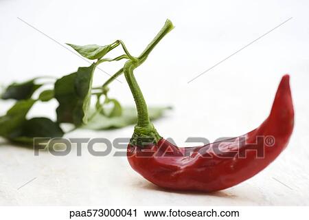 Chili pepper View Large Photo Image Stock Image - Chili pepper. Fotosearch