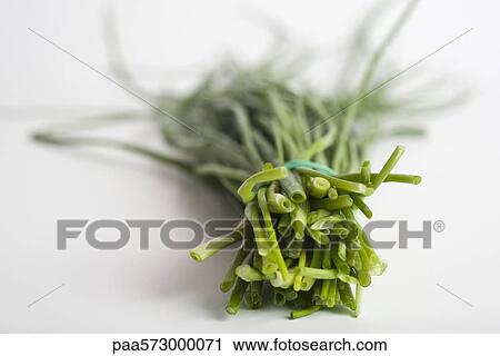 Chives View Large Photo Image Stock Image - Chives. Fotosearch