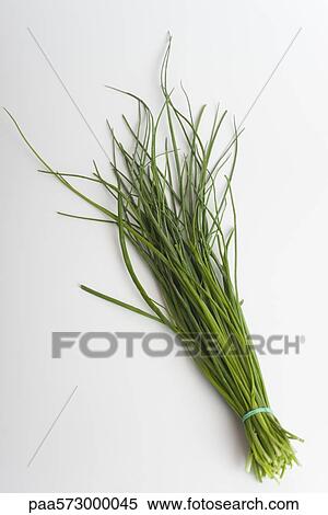 Chives View Large Photo Image Stock Photography - Chives. Fotosearch