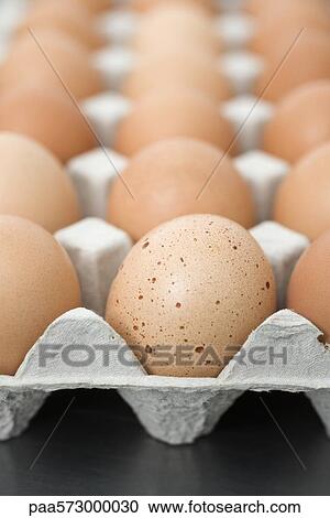 Fresh brown eggs in carton View Large Photo Image Stock Image - Fresh brown eggs in carton. Fotosearch