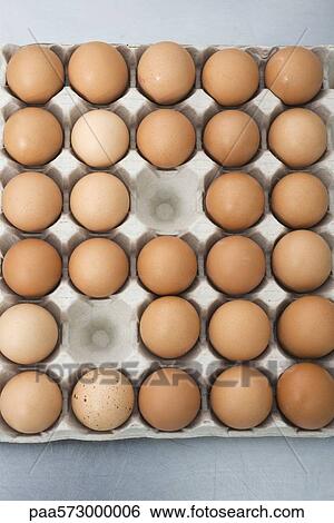 Fresh eggs in carton View Large Photo Image Stock Photograph - Fresh eggs in carton. Fotosearch