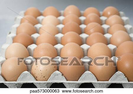 Fresh eggs View Large Photo Image Stock Image - Fresh eggs. Fotosearch