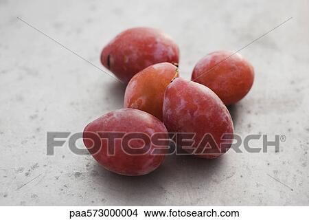 Picture - Plums. Fotosearch