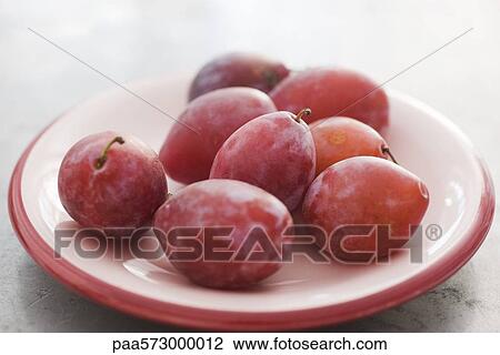 Ripe plums View Large Photo Image Stock Image - Ripe plums. Fotosearch