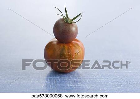 Ripe tomatoes View Large Photo Image Stock Photo - Ripe tomatoes. Fotosearch