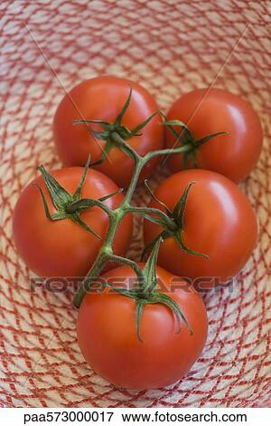 Ripe vine tomatoes View Large Photo Image Stock Photo - Ripe vine tomatoes. Fotosearch