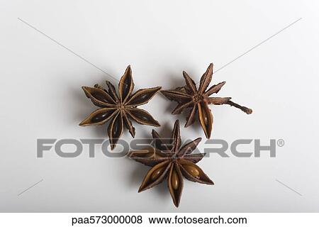 Star anise View Large Photo Image Stock Photo - Star anise. Fotosearch