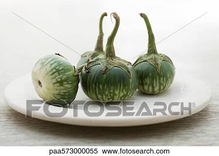 Thai eggplants View Large Photo Image Stock Photography - Thai eggplants. Fotosearch