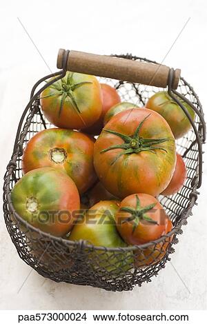 Tomatoes in basket View Large Photo Image Picture - Tomatoes in basket. Fotosearch