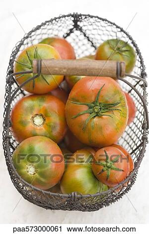 Tomatoes in basket View Large Photo Image Stock Image - Tomatoes in basket. Fotosearch