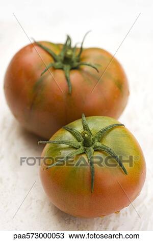 Tomatoes View Large Photo Image Stock Image - Tomatoes. Fotosearch