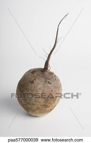 Beet View Large Photo Image Stock Photo - Beet. Fotosearch
