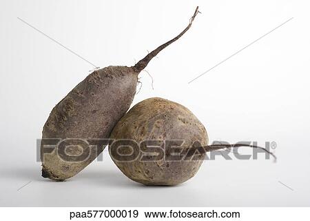 Beets View Large Photo Image Stock Photo - Beets. Fotosearch