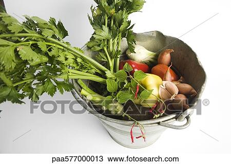 Celeriac and assorted vegetables in bucket View Large Photo Image Stock Image - Celeriac and assorted vegetables in bucket. Fotosearch