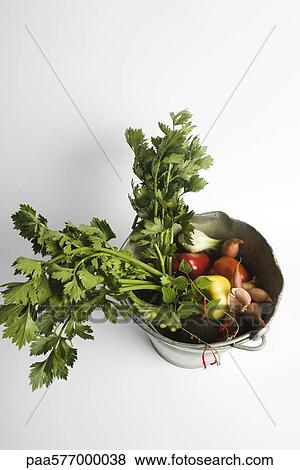 Celeriac and assorted vegetables in bucket View Large Photo Image Stock Photo - Celeriac and assorted vegetables in bucket. Fotosearch