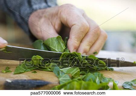 Stock Photograph - Chopping chard greens. Fotosearch