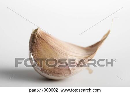 Clove of garlic View Large Photo Image Stock Image - Clove of garlic. Fotosearch