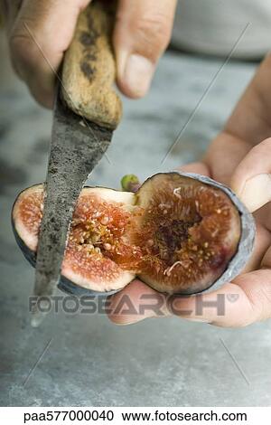Cutting a ripe fig View Large Photo Image Stock Image - Cutting a ripe fig. Fotosearch