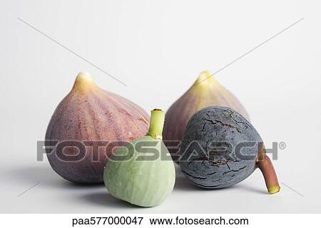 Stock Photo - Figs in various stages of ripeness. Fotosearch