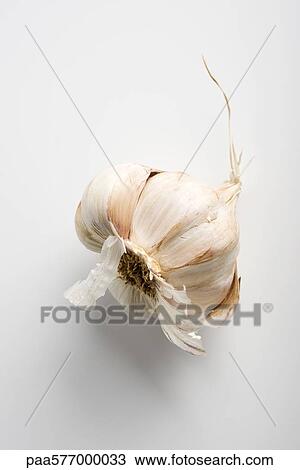 Garlic View Large Photo Image Stock Image - Garlic. Fotosearch