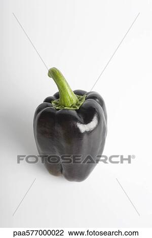 Purple bell pepper View Large Photo Image Stock Image - Purple bell pepper. Fotosearch