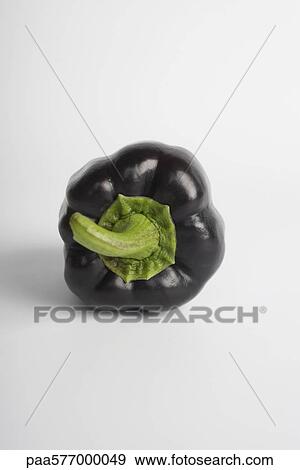 Purple bell pepper View Large Photo Image Stock Photo - Purple bell pepper. Fotosearch