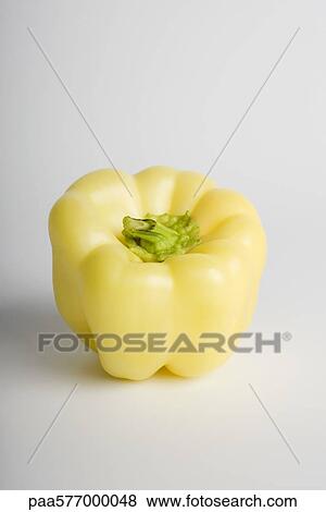 White bell pepper View Large Photo Image Stock Photo - White bell pepper. Fotosearch
