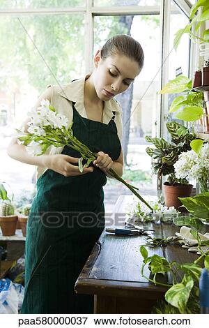 Stock Photo - Female florist arranging flowers in shop. Fotosearch