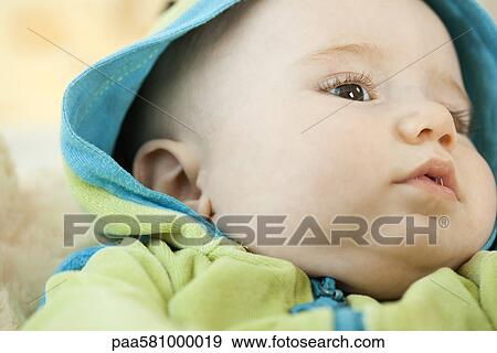 Stock Photo - Infant wearing hooded sweatshirt, close-up. Fotosearch