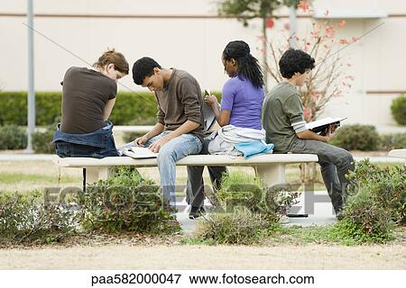 Stock Photo - High school students studying together outdoors. Fotosearch