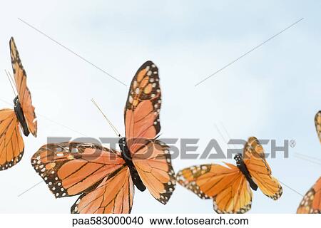 Artificial butterflies View Large Photo Image Stock Image - Artificial butterflies. Fotosearch