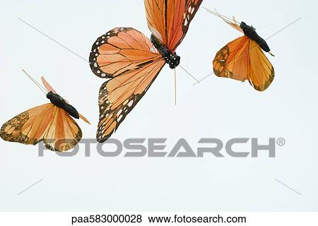 Artificial butterflies View Large Photo Image Stock Photo - Artificial butterflies. Fotosearch