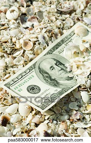 Stock Photo - One-hundred dollar bill half buried in seashells. Fotosearch
