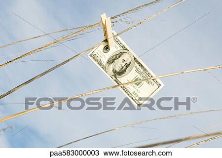 Stock Image - One hundred dollar bill hung on tall grass with clothes pin. Fotosearch