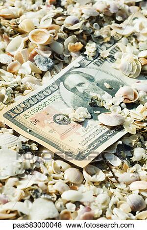 One-million dollar bill half buried in seashells View Large Photo Image Stock Photo - One-million dollar bill half buried in seashells. Fotosearch