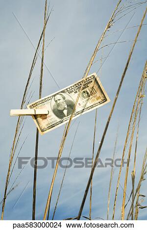 One million dollar bill hung on tall grass with clothes pin View Large Photo Image Picture - One million dollar bill hung on tall grass with clothes pin. Fotosearch