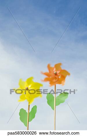 Stock Photograph - Pinwheels shaped like flowers. Fotosearch