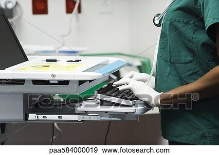 Healthcare worker using computer View Large Photo Image Stock Photo - Healthcare worker using computer. Fotosearch